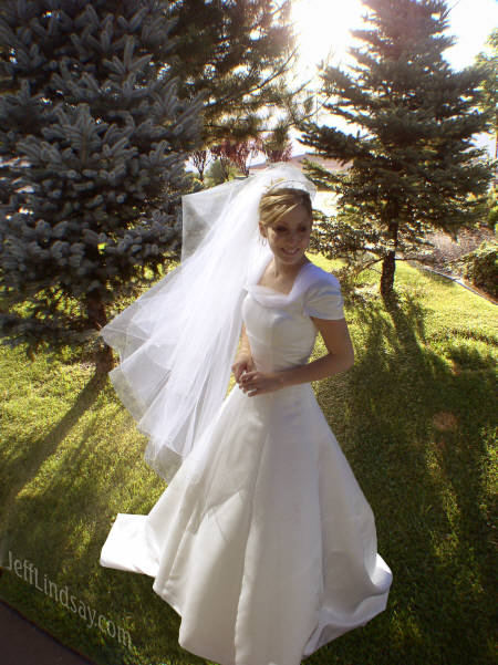 Another view of Julie from her wedding, again with a modified background, courtesy of yours truly