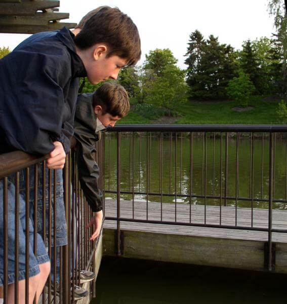 My boys looking into a pond at the Chicago Botanic Garden.