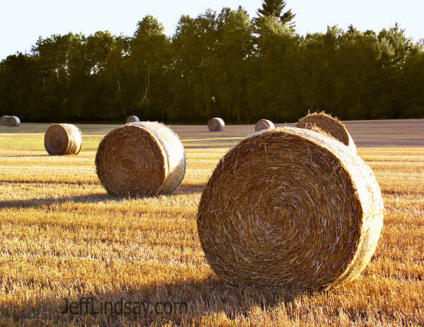 Some rolls of hay just south of Mountain, Wisconsin, taken Aug. 2004 after picking up my son from Mountain's Boy Scout Camp.
