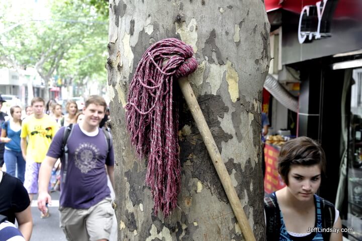 A tree and its mop