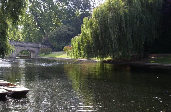 A view of the Cam River.