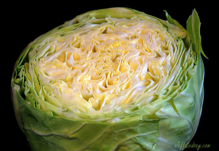 Cabbage in the Lindsay kitchen, 2010.