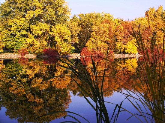 Photograph of the little lake in front of the Kimberly-Clark West Office Building in Neenah at 2100 Winchester Road, on a still October morning, 2003.