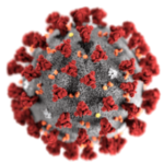 SARS-CoV-2-COVID-19-virus