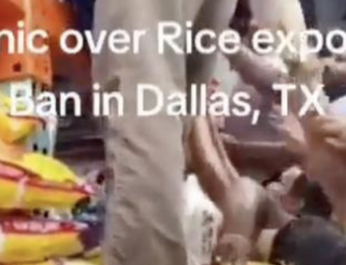 India’s Dangerous Ban on Rice Exports (Non-Basmati Rice)