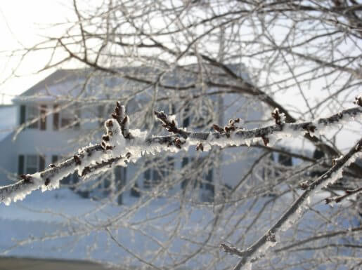 More hoar frost.