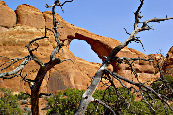 One of many arches at Arches National Monument n Utah, October 2004.