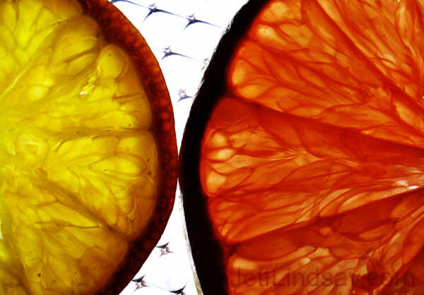 Cross-sections of orange and grapefruit, taken on a plastic backing with backlighting.
