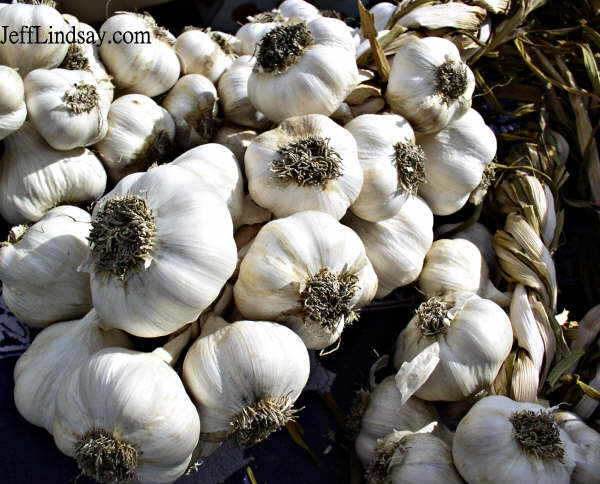 Garlic at a farmers' market in Appleton, Sept. 2004.