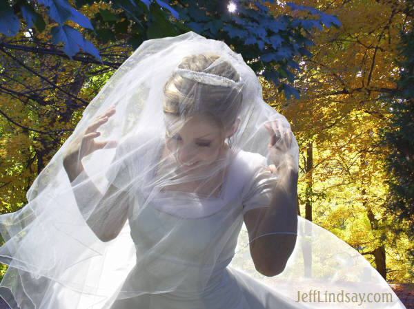 A wonderful friend of mine, Julie, in her wedding dress. I had the honor of being the photographer.