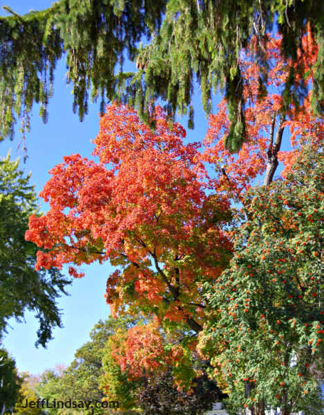 A colorful scene from a street in Kaukauna, Oct. 2004.