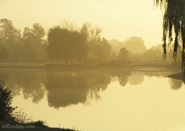 A foggy day in Neenah, Wisconsin, on the Kimberly-Clark campus where I work. Oct. 14, 2005.