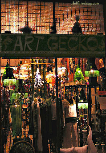 Art Gecko, a shop in Madison, Wisconsin - Jan. 2006.