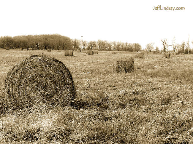 Hay roll near Appleton, Wisconsin, fall 2005.