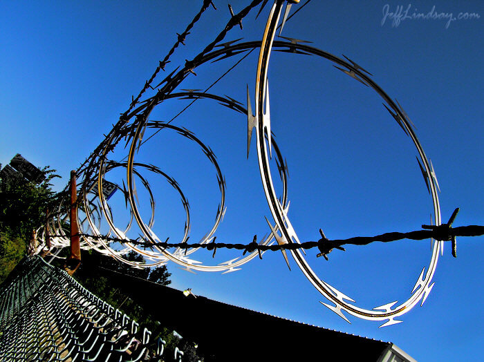 Razor wire in Michigan.