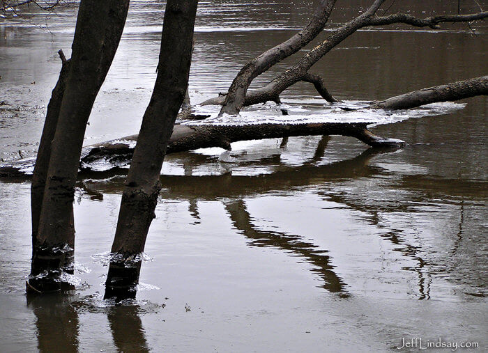 More ice and trees in the Des Plaines River, northern Illinois, Jan. 3, 2009.