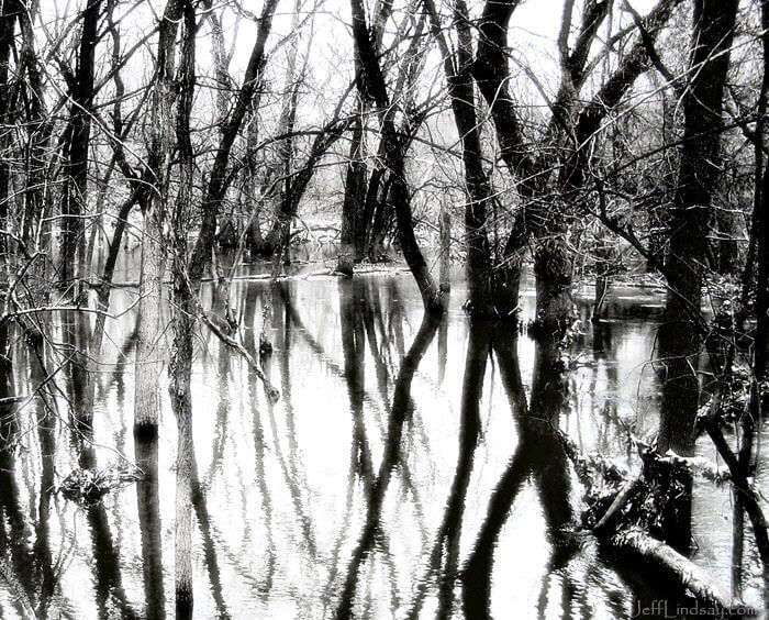 Trees reflected in the icey, eerie waters of the Des Plaines River.