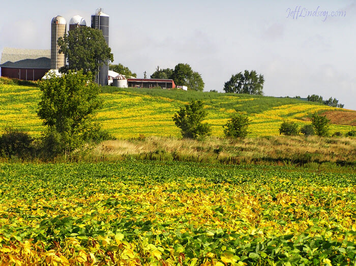 Wisconsin farm, summer 2009.