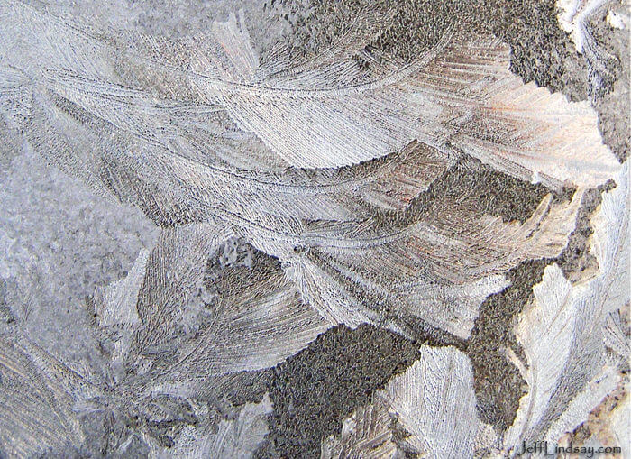 Ice on a north-facing window of our home, Jan. 2009.