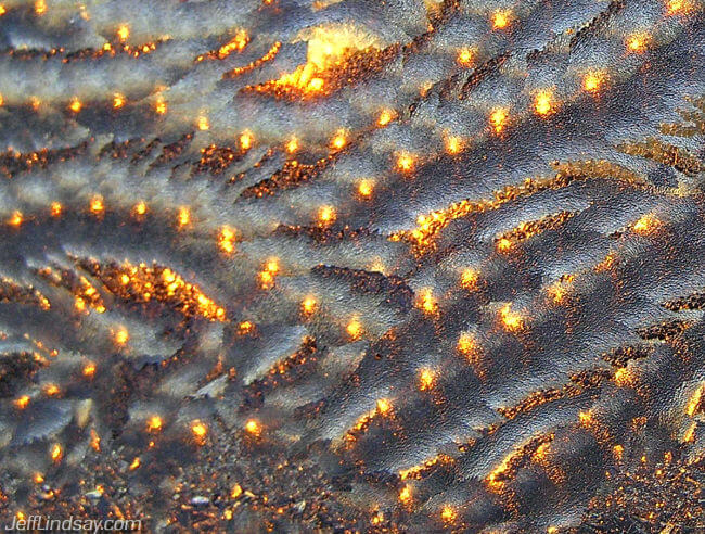 Another view of the sun through my ice-coated window, Jan. 2009.