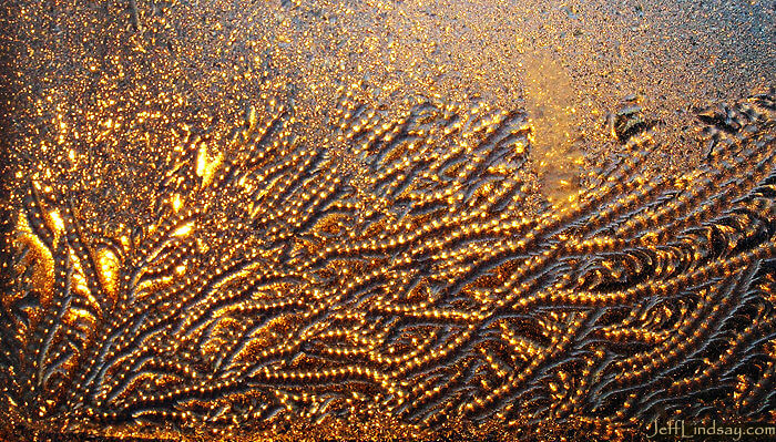 Larger view of a window with hoar frost, looking into the sun. Jan. 2009.