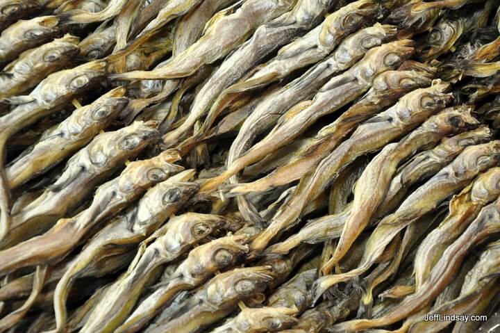 Dried fish at the Jangbu Fish Market in Seoul, Korea, October 2011.