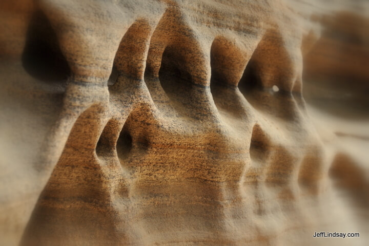 Eroded sandstone seen along the trail leading to Angel's Landing at Zion's National Park on a snowy March day in 2011 .