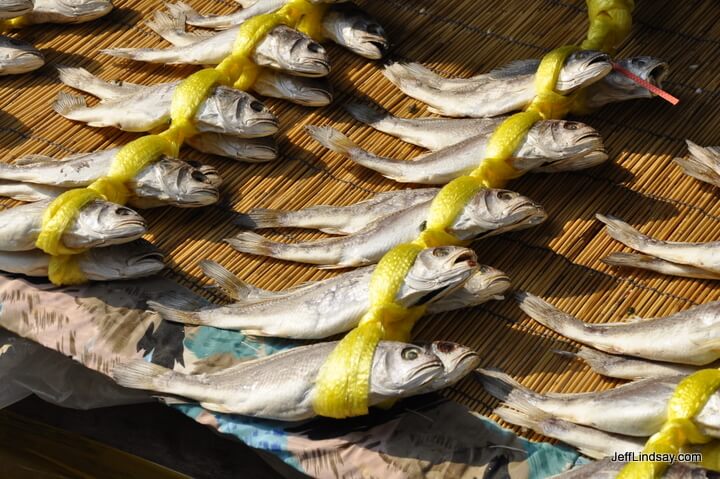 Tie a yellow ribbon round the ol' dried fish....
