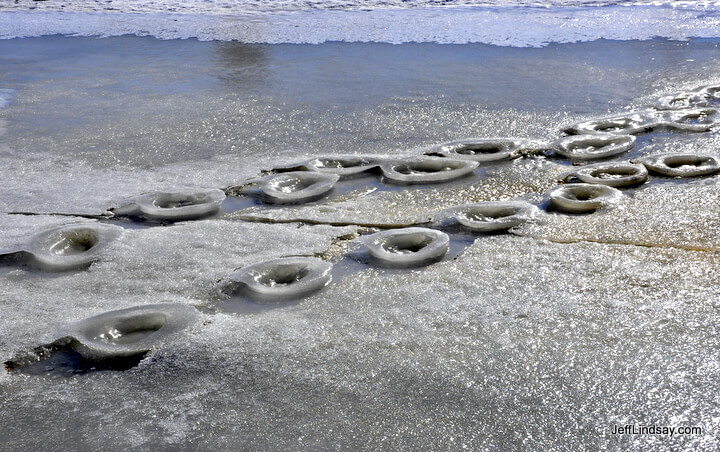 Strange ice tracks in a pond by the old Valley Fair mall.