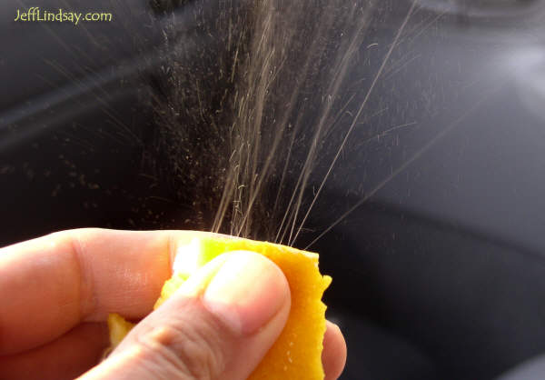 That's me, squeezing an orange peel to shoot out the flammable oil. Did this in Wyoming while waiting in my car for my family.