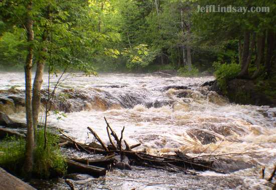 The Peshtigo River in northern Wisconsin, taken on a white water trip in 2004.