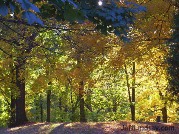 A scene at Plamann Park, just north of Appleton, Oct. 2004.