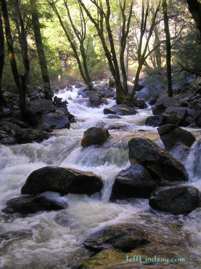 Small stream in Yosemite National Park, June 28, 2005.