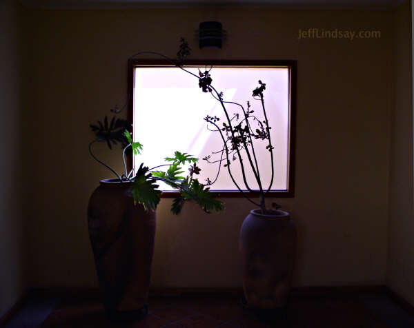 A scene from Casa Cue Hotel in Oaxaca, Mexico. March 2005.