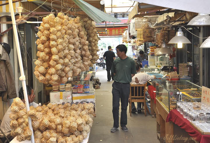 A scene in the cricket market of south Xizang Road, near the Dong Tai Antiques Market, where vast numbers of large, noisy crickets are sold, each in their own little cage.