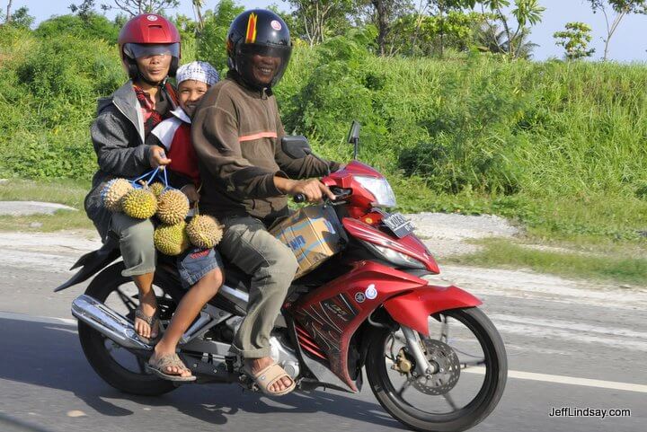A family in Bali risks their lives to transport dangerous durian fruit by motorcycle. Delicious, but those spikes can be harsh on the knees.