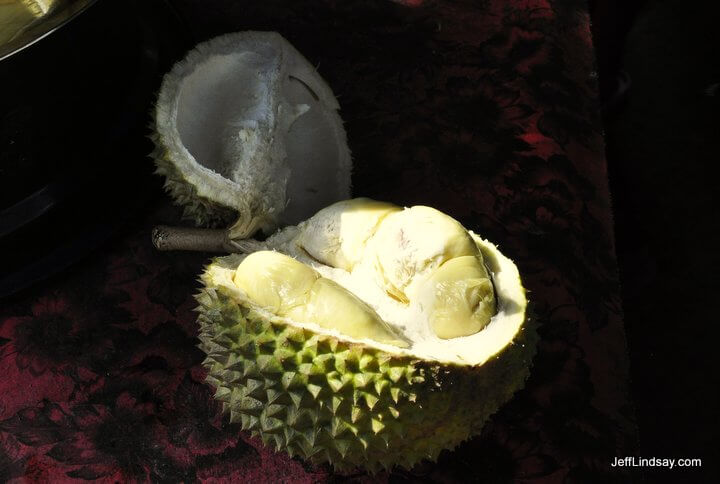 Durian, freshly opened, on a table underneath a durian tree on a Bali roadside. Best durian I've ever tasted. Very little odor, too.