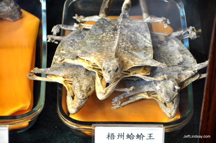 Tasty lizard, the ultimate health food. Hong Kong, Dec. 2011.