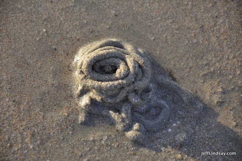 More strange structures in the sand, perhaps made by a worm.
