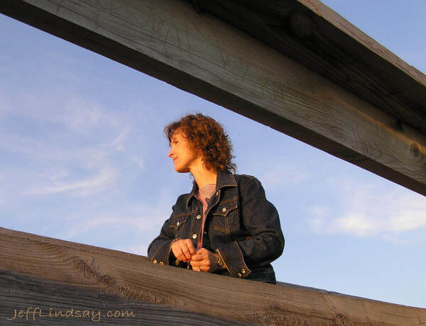 Kendra looks out over the Fox River Valley from a tall wooden tower at High Cliff State Park, July 29, 2005.