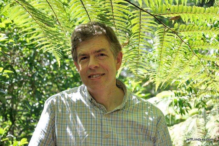 Jeff near Leamington, North Island, New Zealand, Feb. 2013. I love all the fern trees there. 