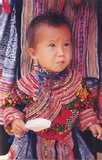 Hmong baby