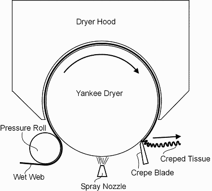 Tissue web being dried and creped on a Yankee dryer.