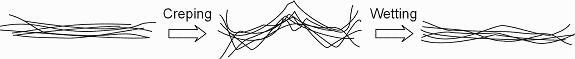 Figure 2. Schematic representation of fiber changes as a web on
a Yankee dryer is creped and subsequently wetted.