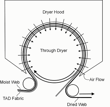 Figure 3. Tissue web being dried on a through dryer.