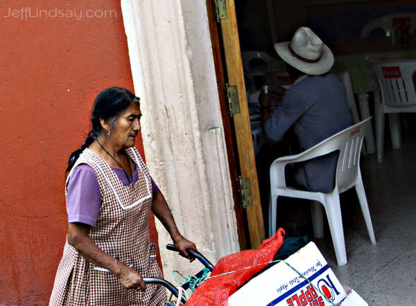 cart-lady