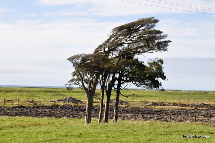 New Zealand: Greymouth