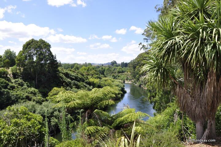 river by Leamington, New Zealand. 