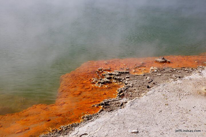 New Zealand: red bacteria