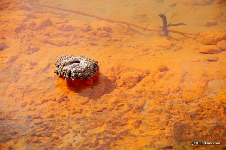 New Zealand: red bacteria and minerals